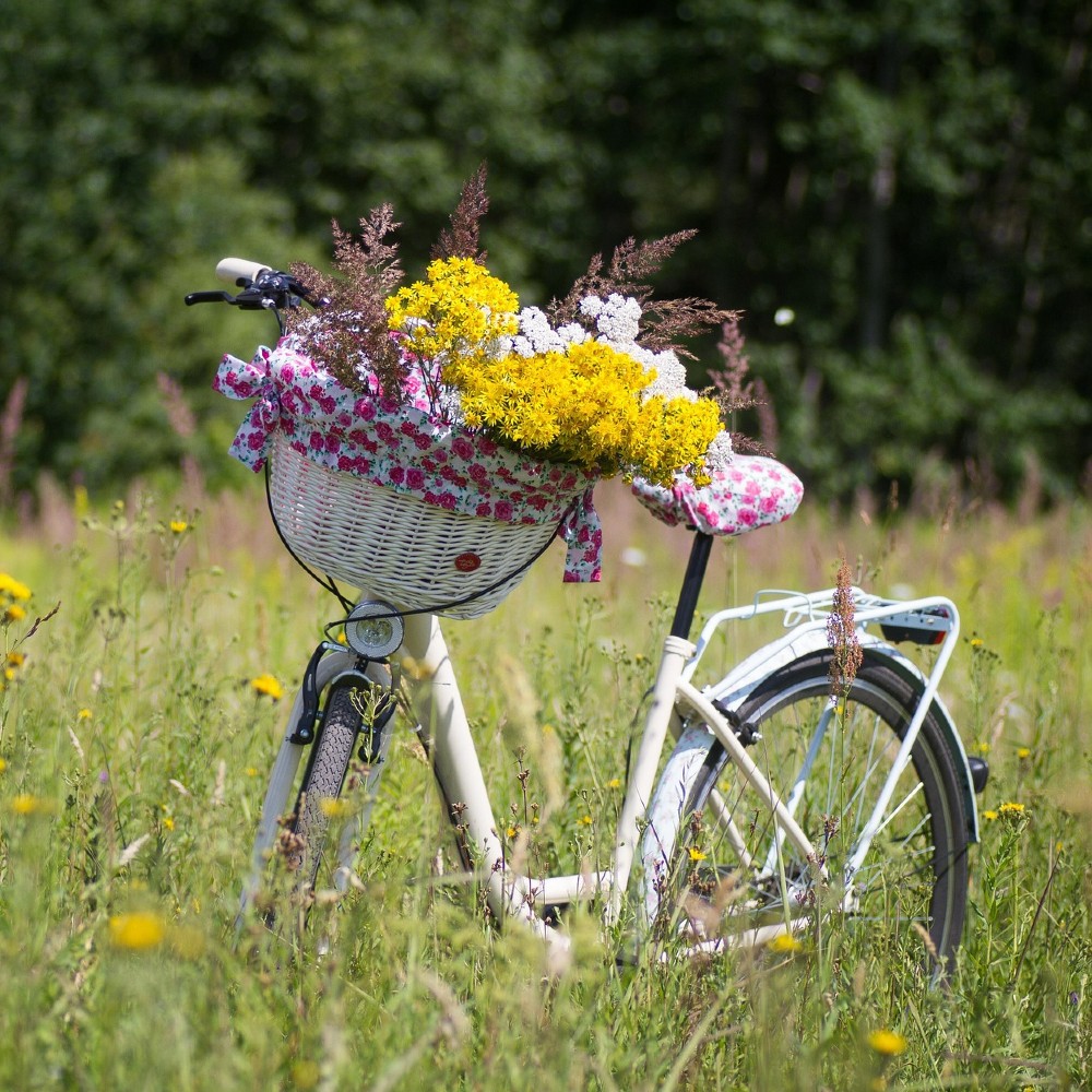 PRO Podium: Kun je in Oisterwijk veilig fietsen ?